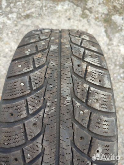 Gislaved Nord Frost 5 195/55 R15