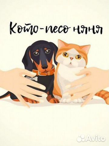 Передержка животных