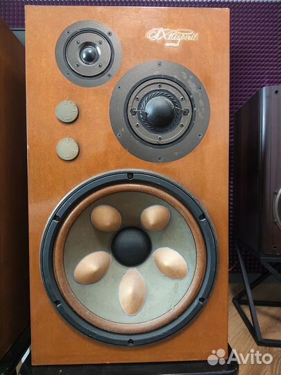 Акустическая система Victor SX-10 Spirit