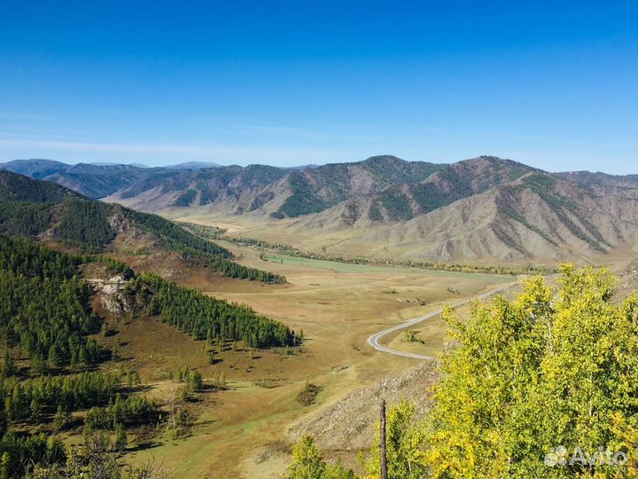 Туры в Алтай