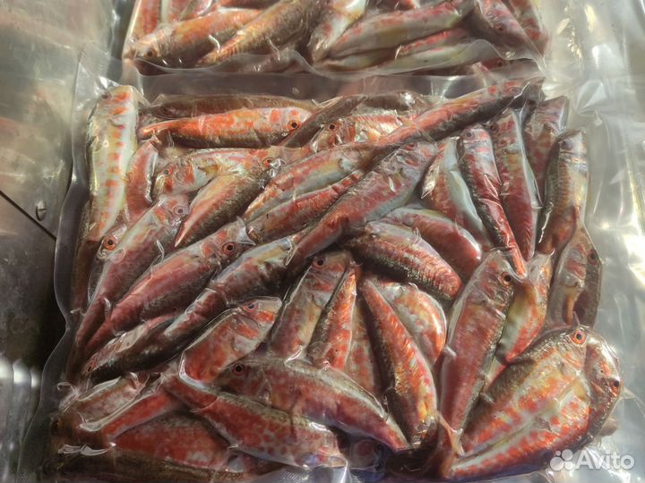 Свежая и свежемороженая Барабуля