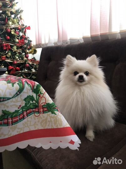 Мальчик ищет подружку