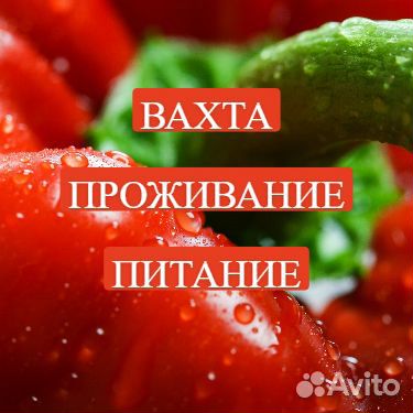 Укладчики.Вахта от 15 смен.Вычетов нет