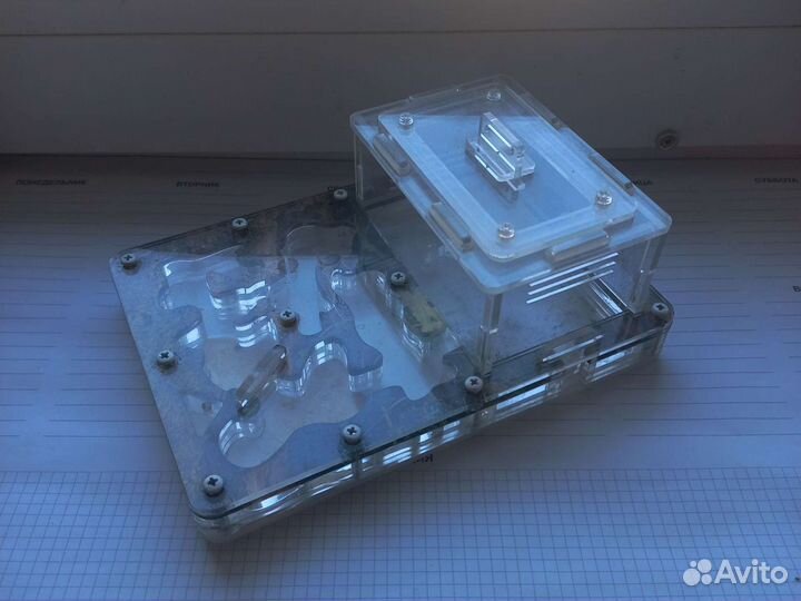 Муравьиная ферма