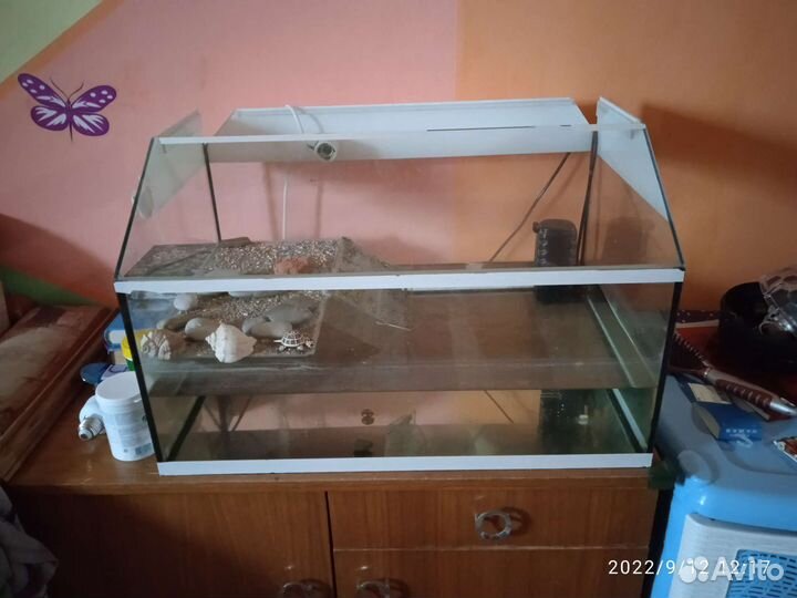 Террариум для красноухой черепахи