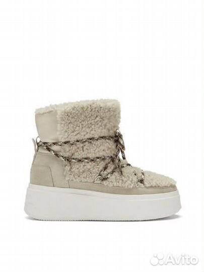 Ботинки ash 38 37