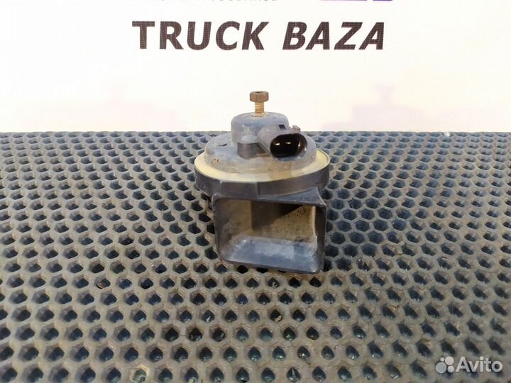 81253016089 Сигнал звуковой