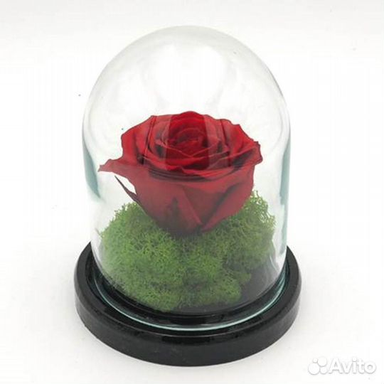 Вечная роза в колбе