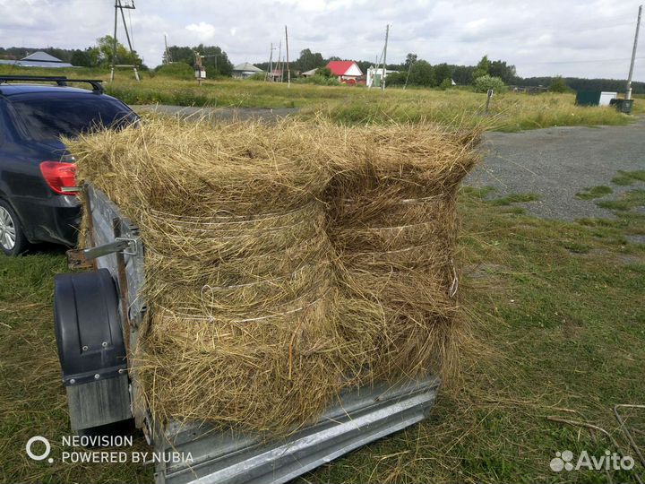 Сено в рулонах с доставкой,сено для животных,собак