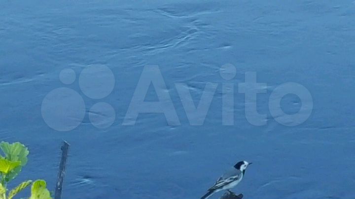 Участок 15,5 сот. (ИЖС)