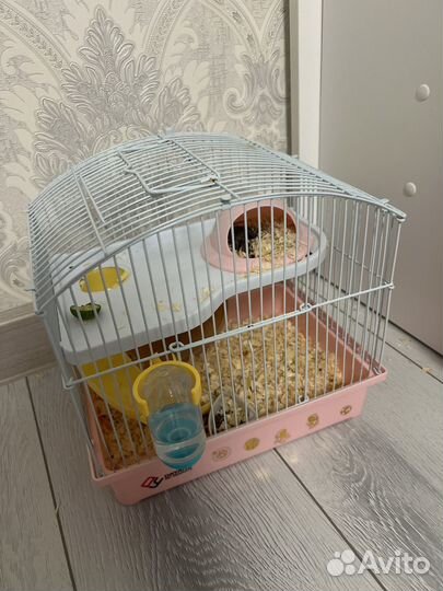 Джунгарский хомяк с клеткой