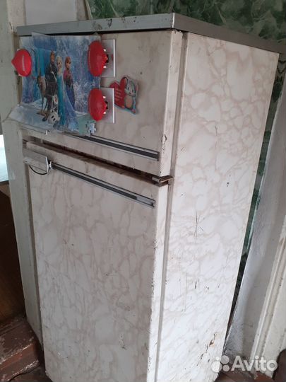 Отдам бесплатно