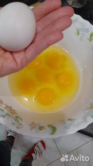 Яйцо домашнее