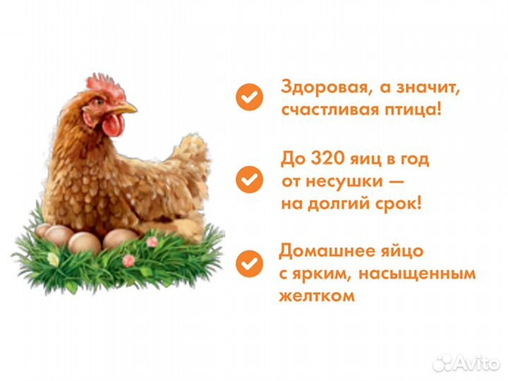 Комбикорм для кур-несушек Purina Happy