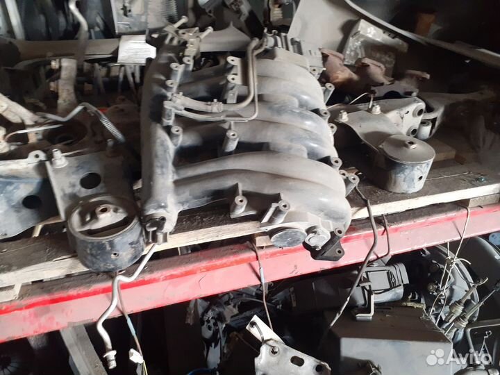 Коллектор впускной ниссан цефиро максима