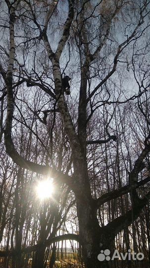 Расчистка участков, участки под ключ, отсыпка