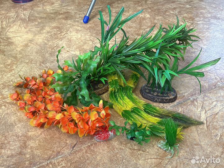 Дизайн для аквариума