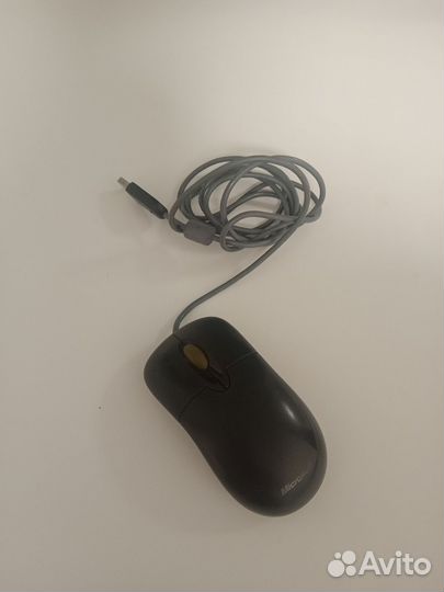 Мышь