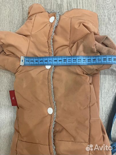 Одежда для собак