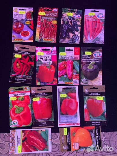 Рассада овощей