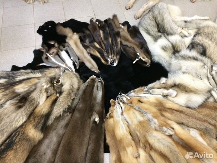 Выделка шкур дикой пушнины