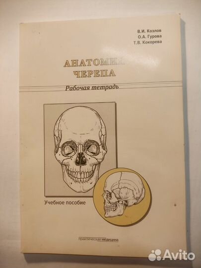 Рабочая тетрадь по Анатомии рудн