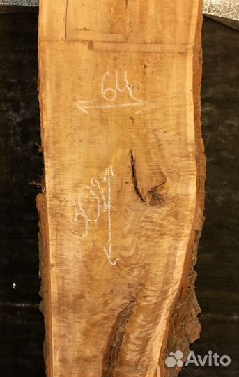 Слэб тополя 302*64*7