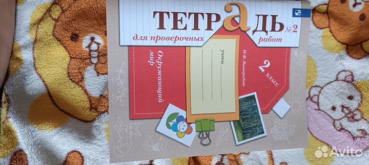 Рабочая тетрадь по окружающему 2 класс