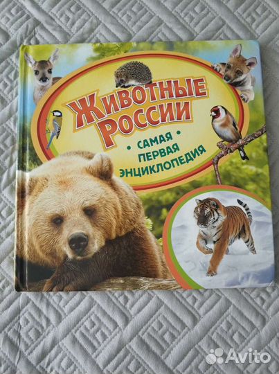 Энциклопедия для детей