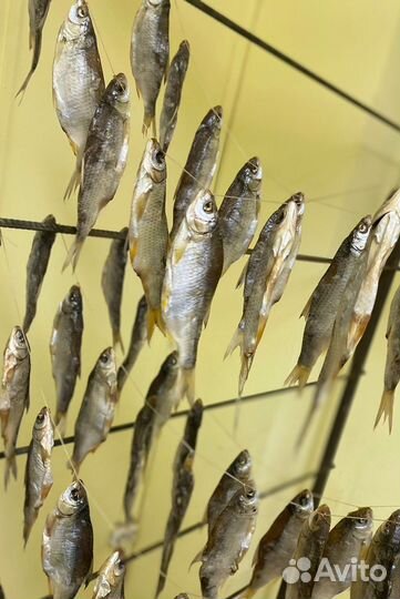 Тарань вяленая азовская