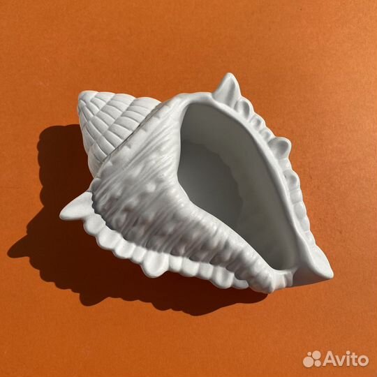 Морские раковины из гипса для украшений