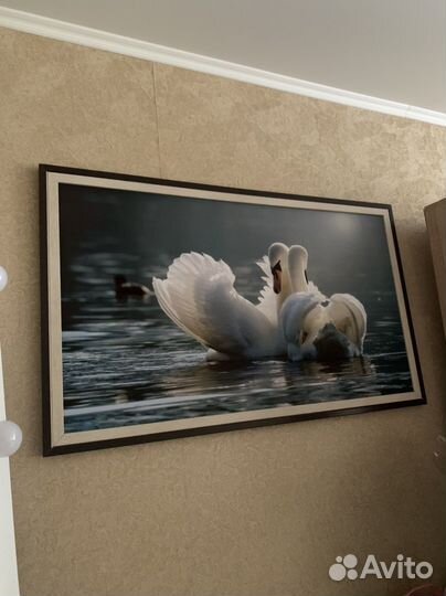 Картина Лебеди