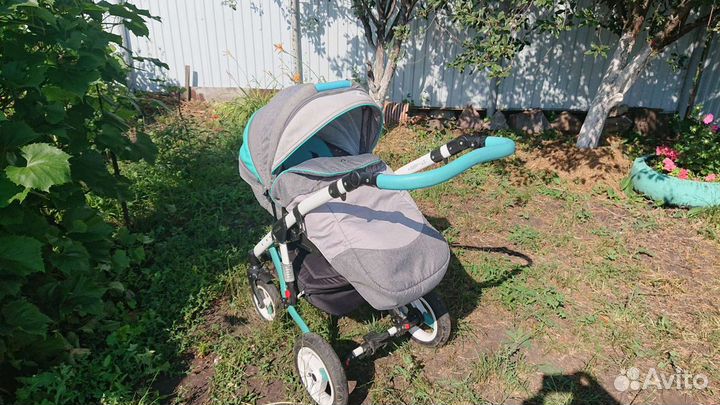 Коляска Adamex Aspena Rainbow