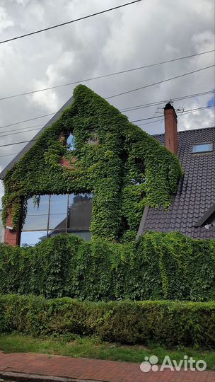 Найду жильё в Калининграде и области