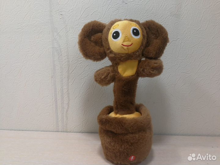 Чебурашка - кактус