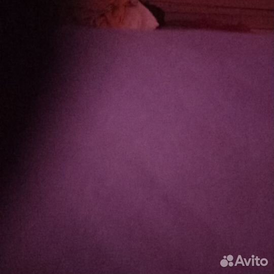 Вещи для мужчины размер 54