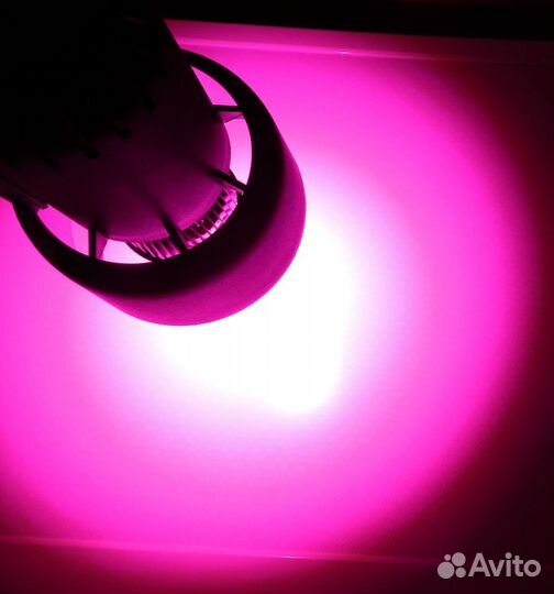 Фито лампа Мини прожектор