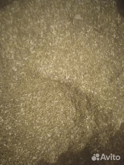 Кошачья мята