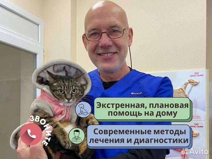 Скорая ветеринарная помощь. Выезд на дом