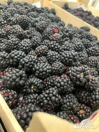 Ягоды из киргизии