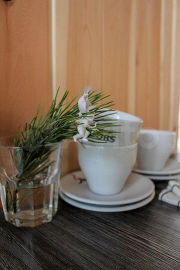 Коттедж 60 м² на участке 10 га