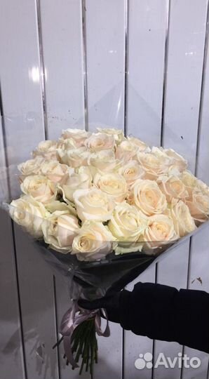 Розы