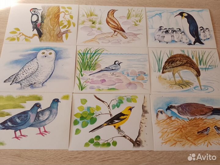 Набор открыток 