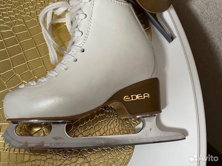 Фигурные коньки edea motivo