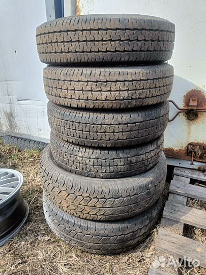 Ovation V-02 155 R12C