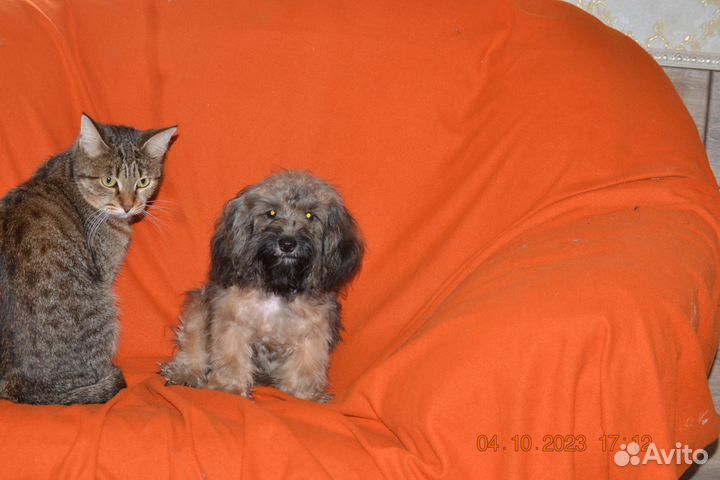 Очаровательный мальчик