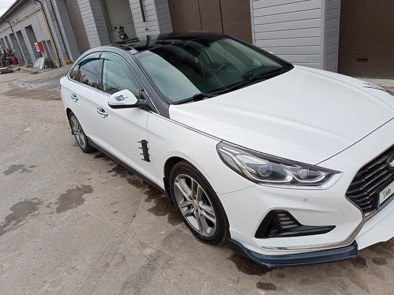 Hyundai Sonata: фото владельца