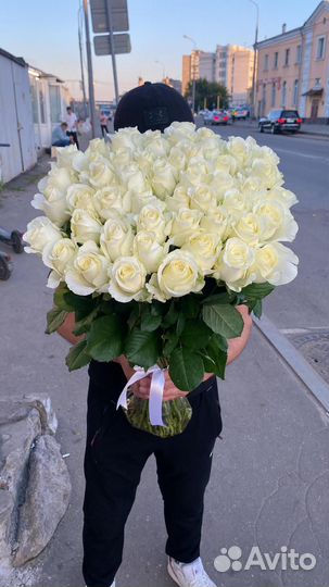 Розы 201 101 51 31 25 оптом и в розницу