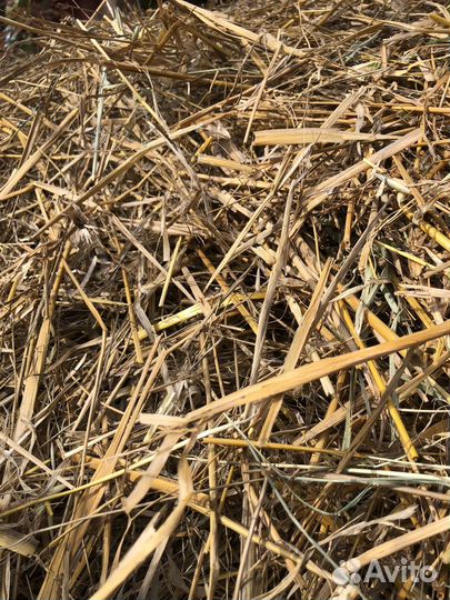 Солома в мешках