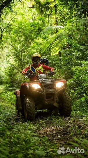 Прогулка на квадроцикле